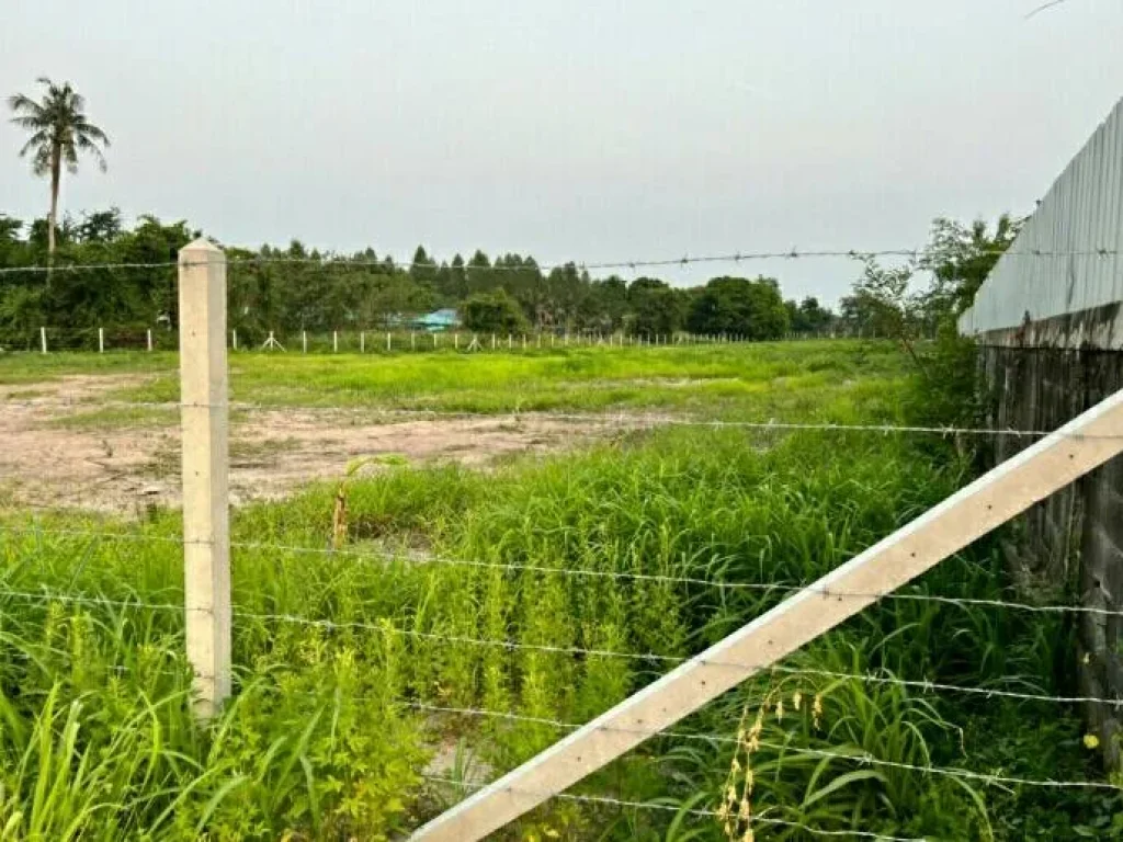 ขายด่วน ที่ดินใกล้หาดพลา บ้านฉาง ระยอง รูปแปลงสวย หน้ากว้างติดถนนคอนกรีต