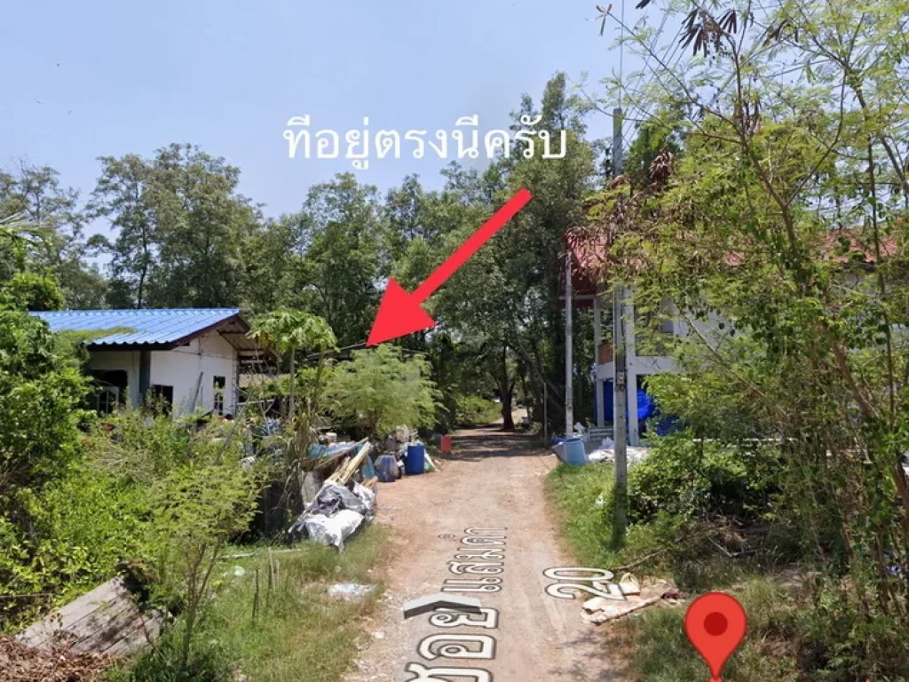 ขายที่ดินเปล่า 318 ตรว เหมาะสำหรับทำที่พักอาศัย แสมดำ บางขุนเทียน กรุงเทพ