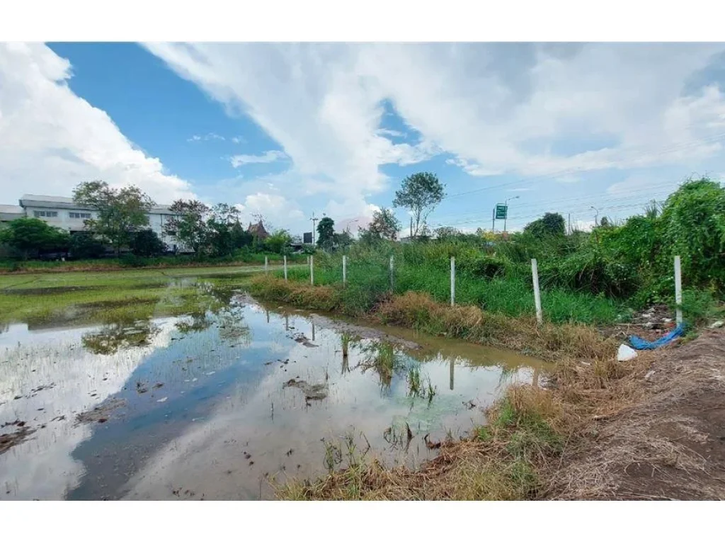 ขายที่ดิน 39 ไร่ ติดถนนใหญ่คลอง6 บึงคำพร้อย เหมาะลงทุน ทำเลดี