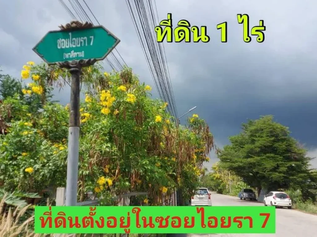 ขายด่วน ที่ดินขนาด 1 ไร่ ติดถนนคอนกรีตสาธารณะ ซไอยรา 7 ตคลองสอง อคลองหลวง จปทุมธานี