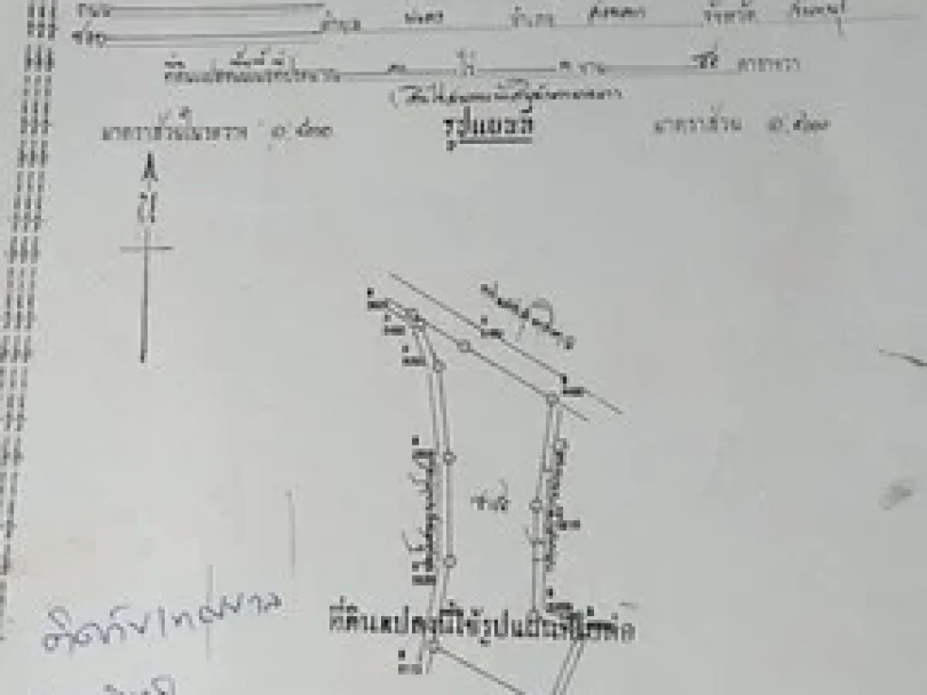 ขายด่วนที่ดิน ติดกับเขตเทศบาลคลองตำหรุ ตำบล คลองตำหรุ อำเภอ เมือง จังหวัด ชลบุรี