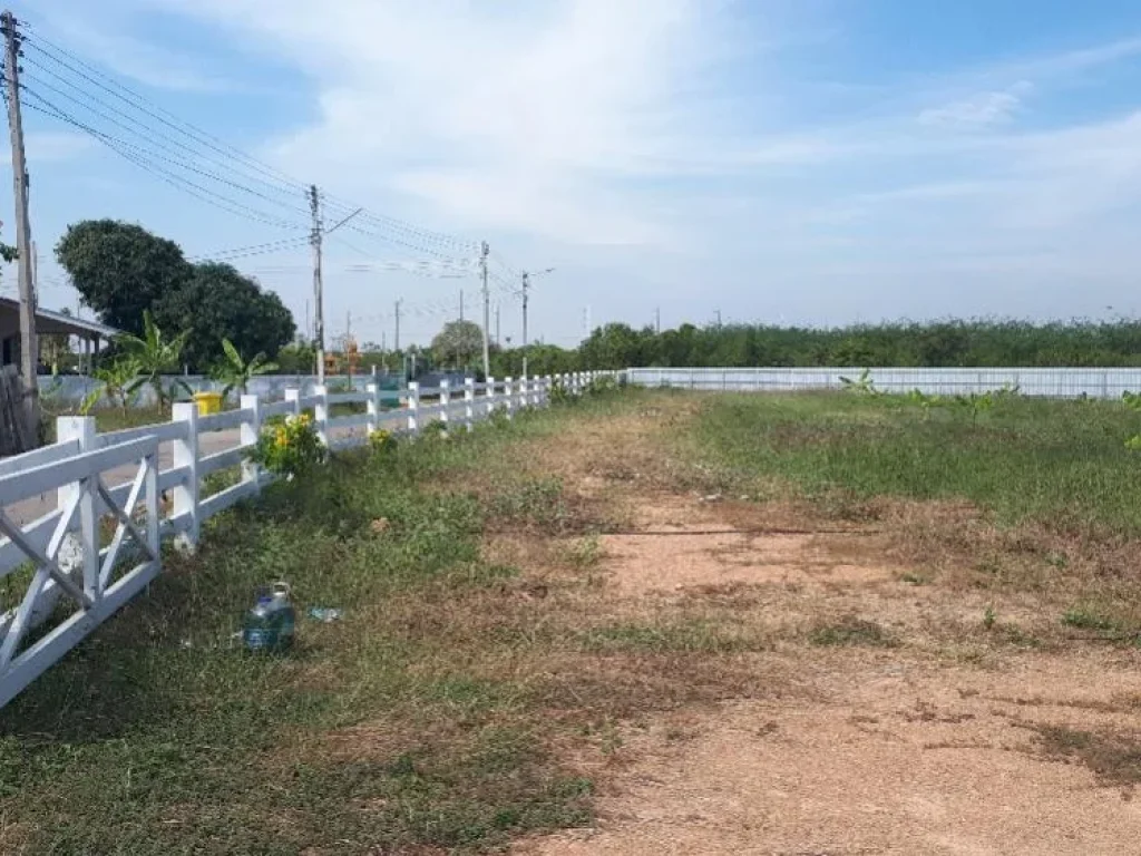 ขายที่ดิน 4 ไร่ ใกล้ทะเลหาดเจ้าสำราญห่างหาด 400 เมตร จังหวัดเพชรบุรี