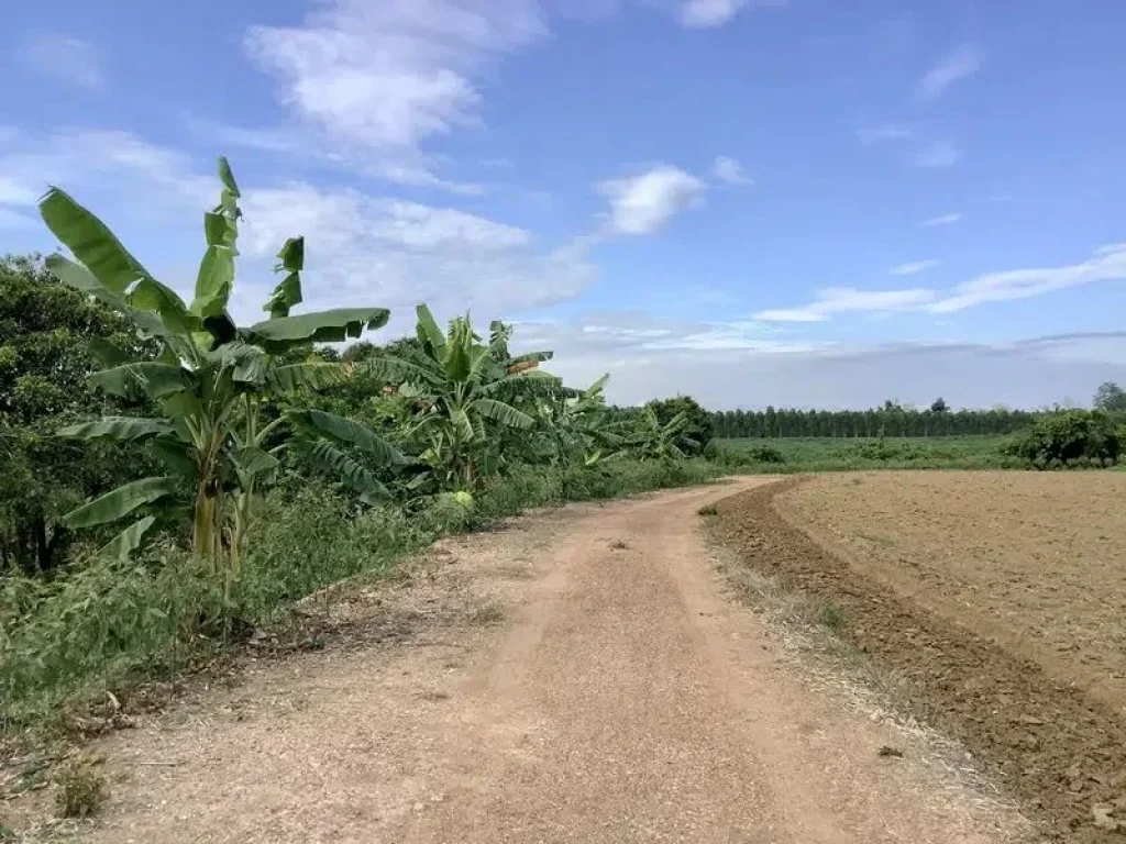 ขายที่สวนติดคลอง น้ำไม่ท่วม วิวสวยอากาศดี ศาลาลำดวน อำเภอเมืองจังหวัดสระแก้ว