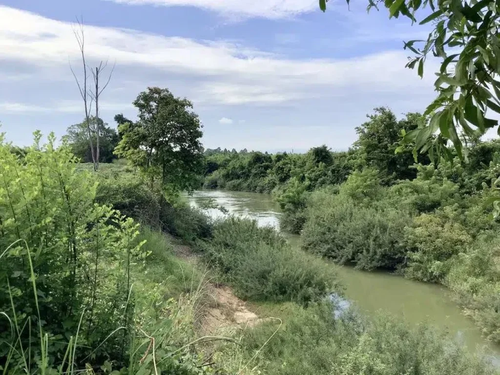 ขายที่สวนติดคลอง น้ำไม่ท่วม วิวสวยอากาศดี ศาลาลำดวน อำเภอเมืองจังหวัดสระแก้ว