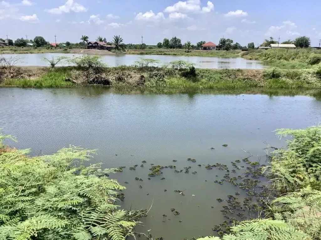 ขายที่ติดคลอง ใกล้ 4 เลนตัดใหม่บางเดชะ ที่สวย เหมาะสำหรับที่พักอาศัย อเมืองปราจีนบุรี