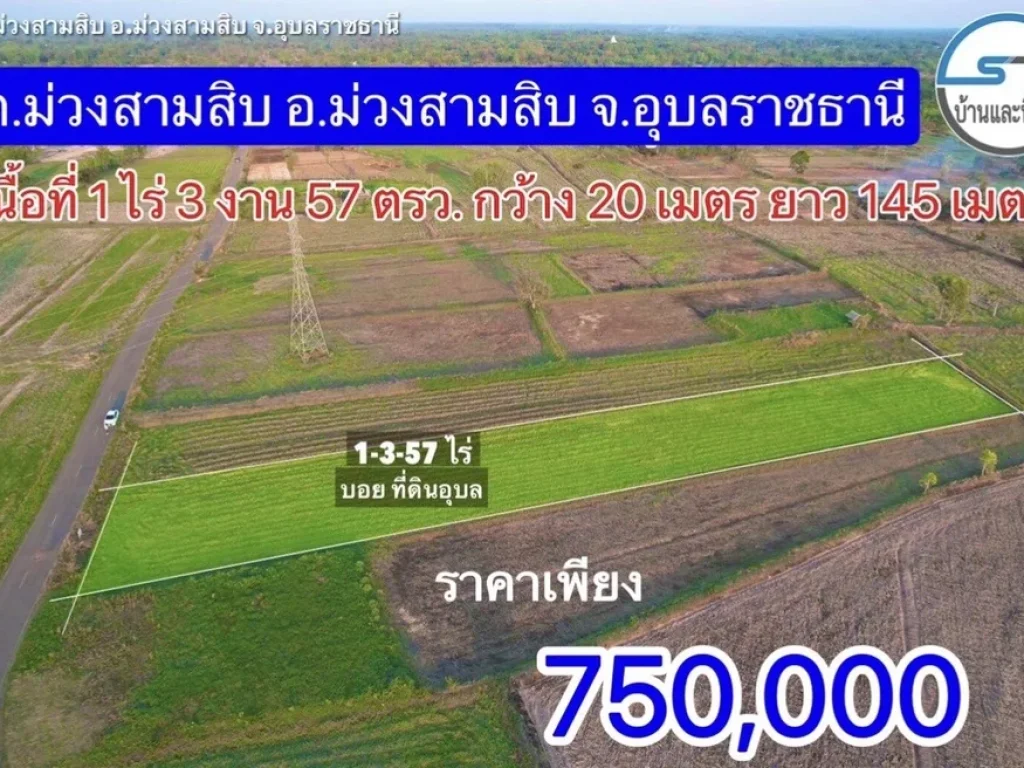 ขายที่ดิน ที่นา เนื้อที่ 1-3-57 ไร่ ตำบล ม่วงสามสิบ อำเภอม่วงสามสิบ อุบลราชธานี