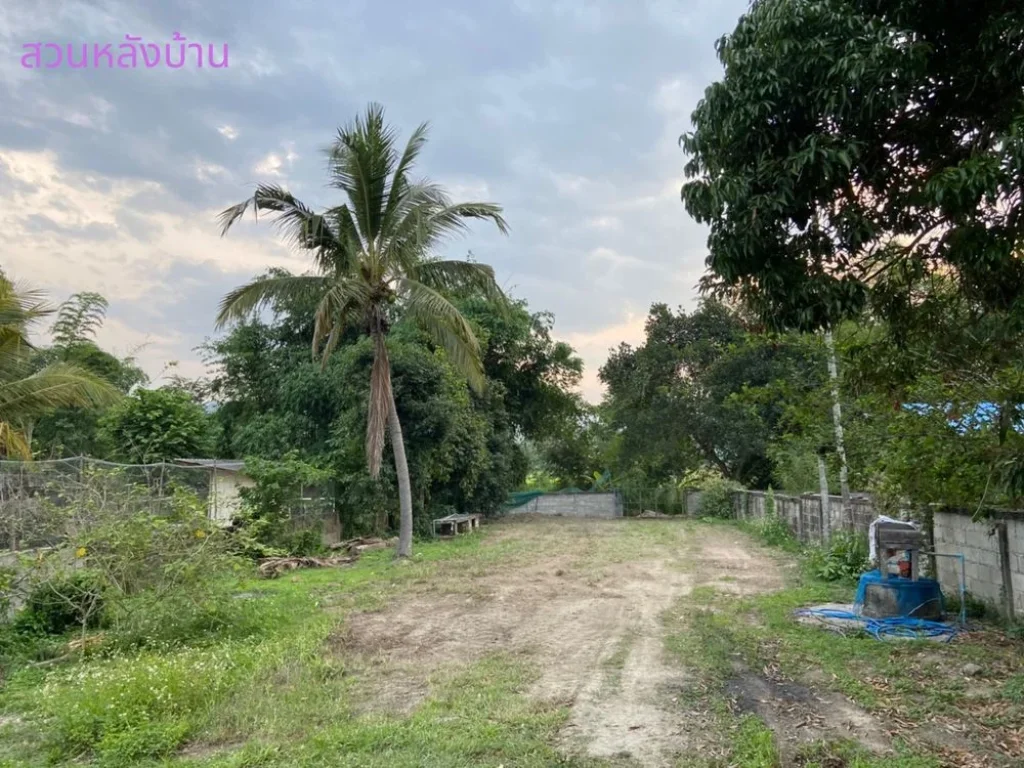 ขายด่วน หัวมุมสามแยกใจกลางหมู่บ่าน ใกล้ราชภัฎและเป็นทางผ่านขึ้นพระพุธทบาท4รอย มีไฟฟ้า มีประปา เป็นตลาดสดประจำหมู่บ้าน แถมบ้าน2ชั้น1หลังติดแม่น้ำ