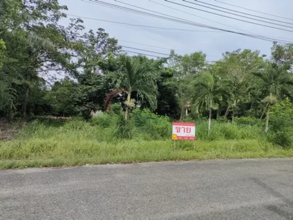 ขาย ที่ดิน 89 ตรว บ้านเนินน้ำ โครงการติดอ่างเก็บน้ำ วิวภูเขา สาธารณูปโภคพร้อม ราคาถูก