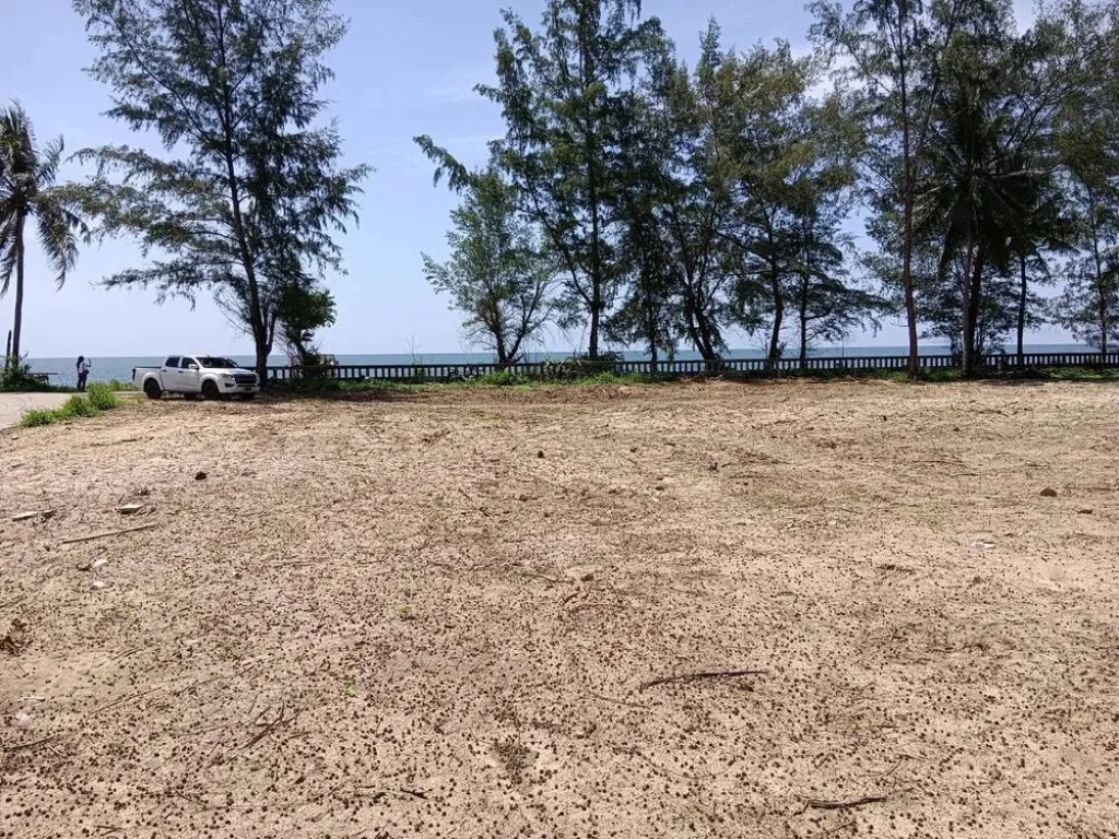 ขายด่วน ที่ดิน ติดทะเล เดินลงหาดได้เลย ตำบลธงชัย ประจวบคีรีขันธ์