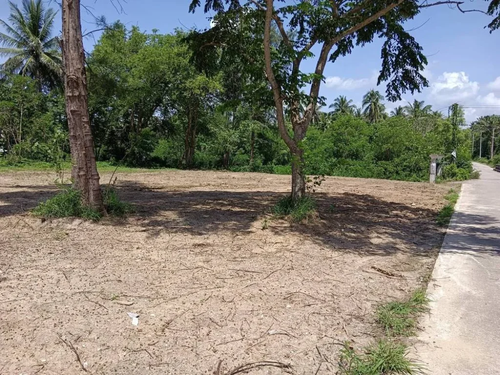 ขายด่วน ที่ดิน ติดทะเล เดินลงหาดได้เลย ตำบลธงชัย ประจวบคีรีขันธ์