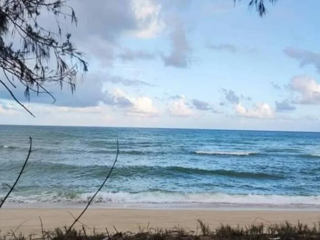 ขายด่วน ที่ดิน ติดทะเล เดินลงหาดได้เลย ตำบลธงชัย ประจวบคีรีขันธ์