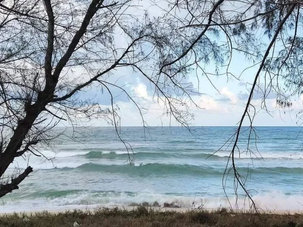 ขายด่วน ที่ดิน ติดทะเล เดินลงหาดได้เลย ตำบลธงชัย ประจวบคีรีขันธ์