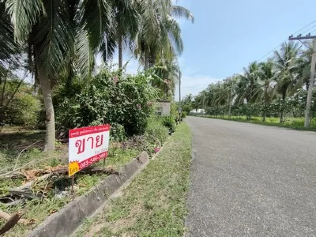 ขาย ที่ดิน วิวอ่างเก็บน้ำ ภูเขา พระอาทิตย์ตก โครงการบ้านเนินน้ำ ตตะเคียนเตี้ย บางละมุง ชลบุรี