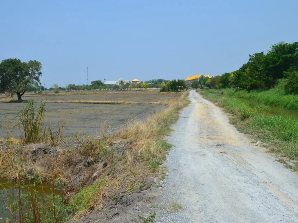 ขายที่ดินสวนลำไย 30 ไร่ บรรยากาศดี สุพรรณบุรี ติด รรกาญจนา