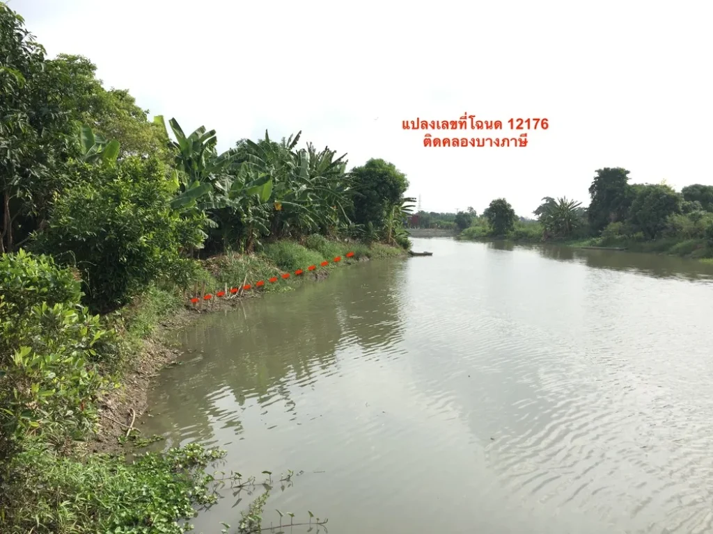 ขายที่ริมคลองนกกระทุงใกล้ตลาดน้ำวัดลำพญาบางเลนนครปฐม