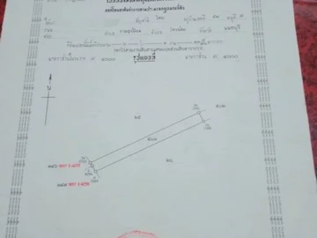 ขายที่ดิน ตำบล ราษฎรนิยม อำเภอ ไทรน้อย จังหวัด นนทบุรี