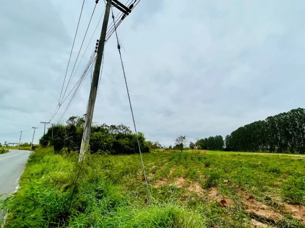 ขายที่ดิน 11 ไร่ ใกล้สนามกอล์ฟสิงห์ปาร์ค ขอนแก่น ใกล้ถนนใหญ่