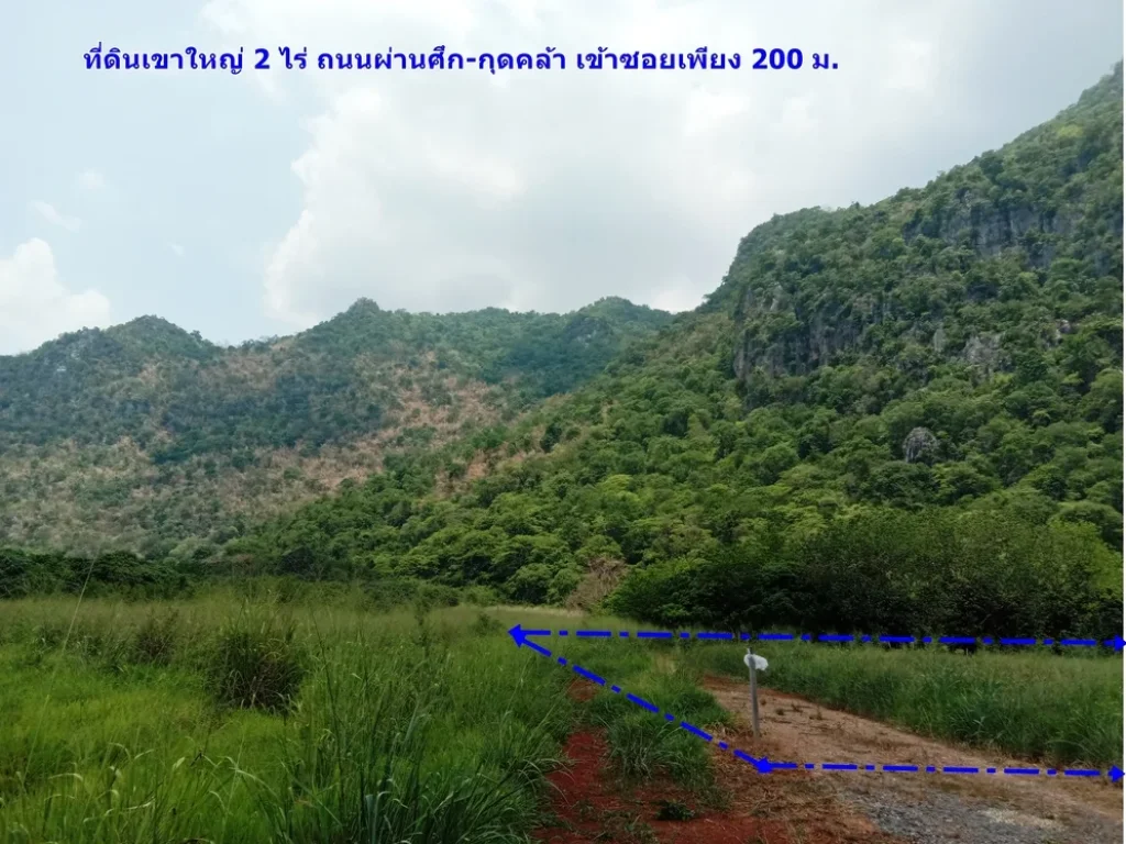 ที่ดินเขาใหญ่ 2 ไร่ บนถผ่านศึก-กุดคล้า เข้าซอยเพียง 200 ม ใกล้วิลลาโนว่าเขาใหญ่ เหมาะสร้างบ้าน