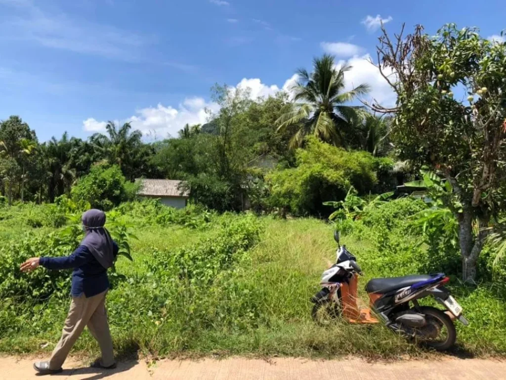 ที่ดินบนเกาะลันตา ใกล้แหล่งชุมชน เหมาะสำหรับทำบ้านพักอาศัย