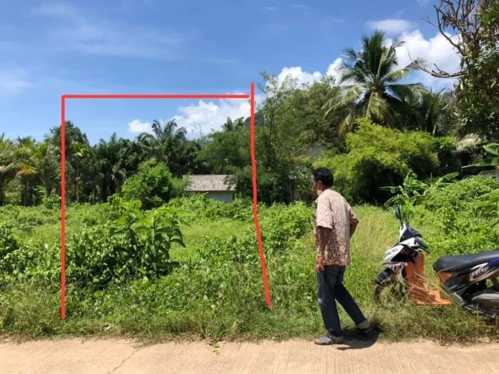 ที่ดินบนเกาะลันตา ใกล้แหล่งชุมชน เหมาะสำหรับทำบ้านพักอาศัย