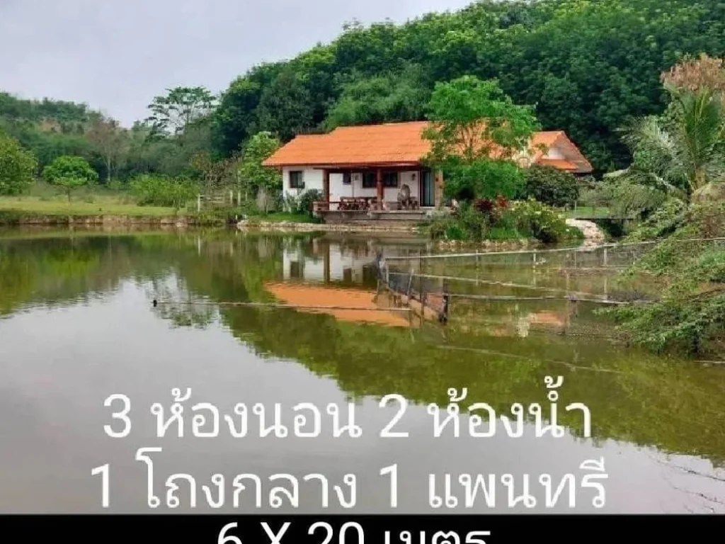 ขายบ้านสวน 29-2-46 ไร่ ดอยฮาง อเมือง จังหวัดเชียงราย