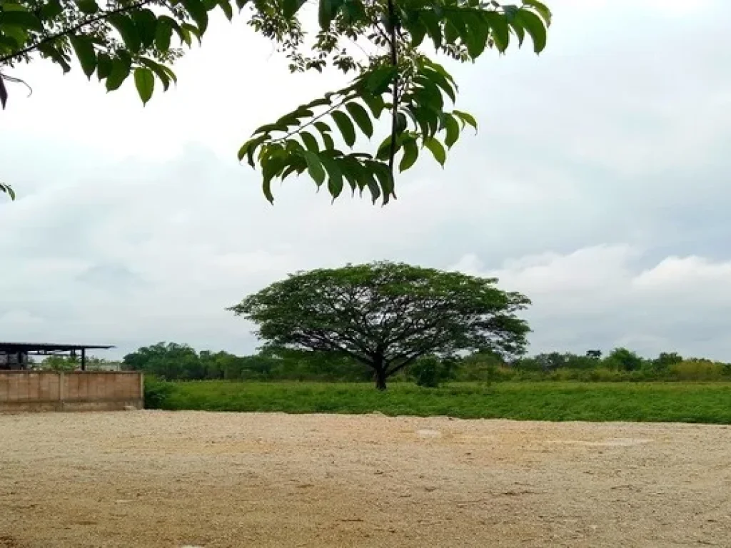 ขายที่ดิน ในเมือง โซน พระเจ้าทันใจ ตบ่อแฮ้ว อเมือง จลำปาง