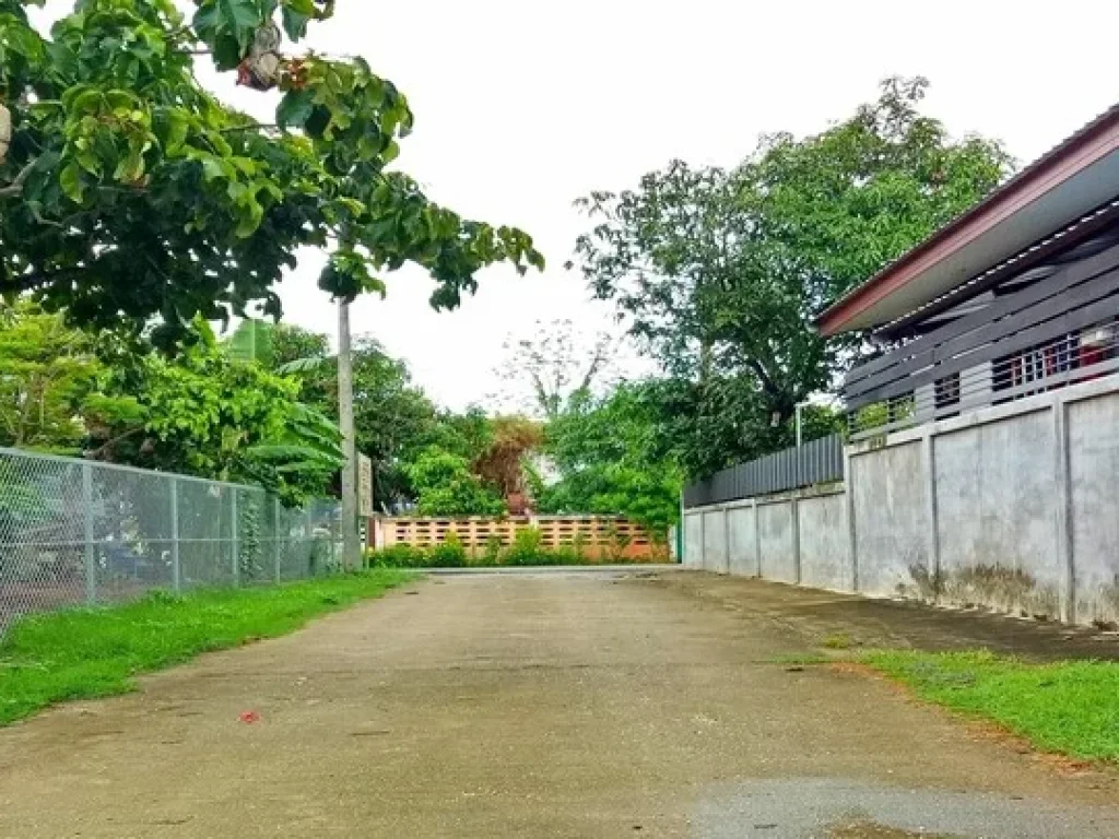 ขายที่ดิน ในเมือง โซน พระเจ้าทันใจ ตบ่อแฮ้ว อเมือง จลำปาง