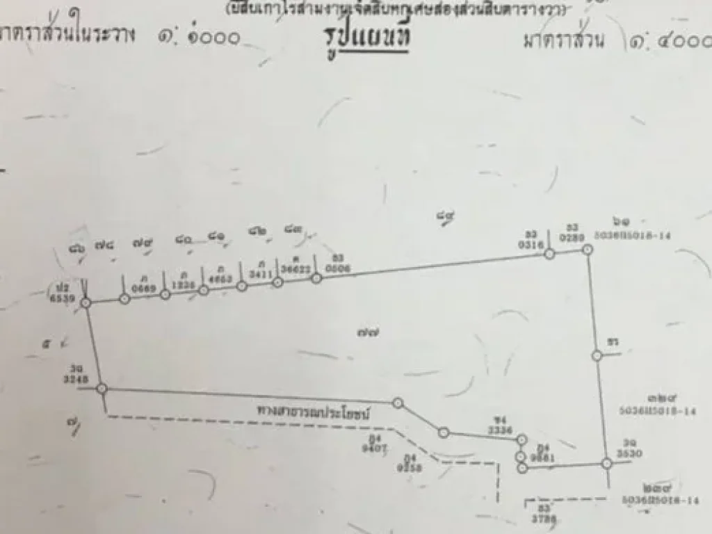 ขายที่ดินพุทธมณฑลสาย 2 ขนาด 33 ไร่ ซโรงเรียน วัดบุญยประดิษฐ์ เหมาะสำหรับโครงการ