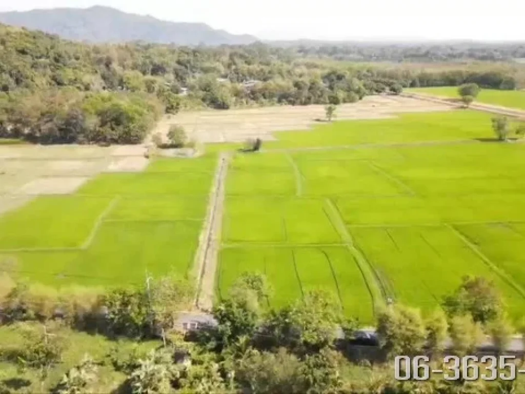 ที่ดินแบ่งขาย วิวเขาล้อม ตศรีนาวา อเมืองนครนายก ที่สวย เริ่มต้น 300 ตรว ฟรีขุดโคกหนองนาให้