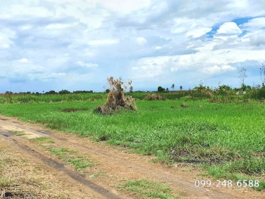 ขายที่ดินเปล่า ถนนหลวงแพ่ง 7 สมุทรปราการ ขนาด 1 ไร่