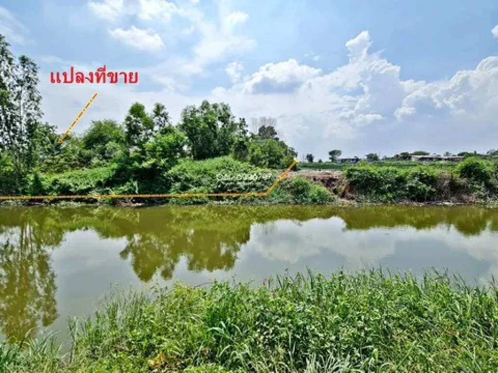 ขาย ที่ดิน บางซ้าย เสนา อยุธยา ที่ถมแล้วทั้งแปลง เนื้อที่ 28-3-42 ไร่ 11542ตรว ด้านหลังติดคลอง