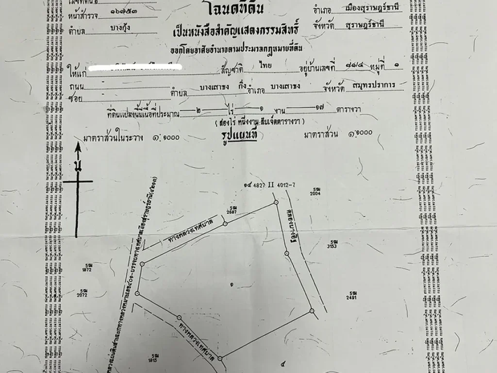 ขายที่ดิน เนื้อที่ 2 ไร่ 1 งาน 17 ตารางวา ที่ถมเรียบร้อย ระดับถนน ที่เมืองสุราษฎร์ธานี