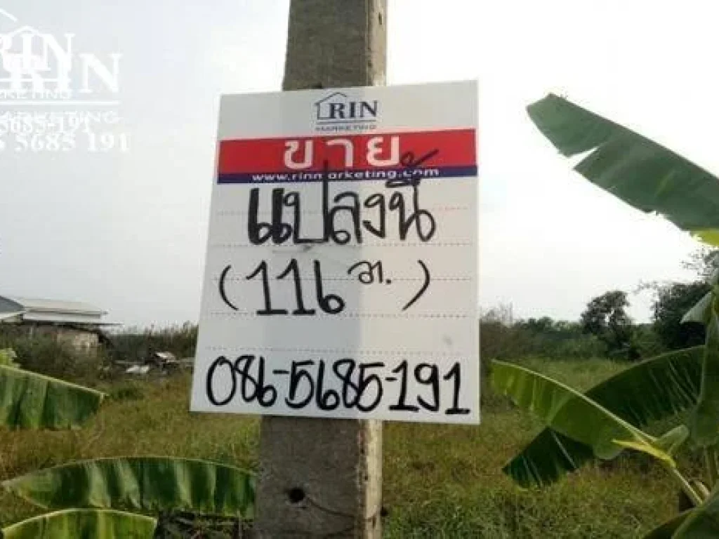 ขายที่ดินต่ำกว่าประเมิน 116 วา 95 เเสน ถมแล้ว คลองหลวง คลอง4 ซอย 8