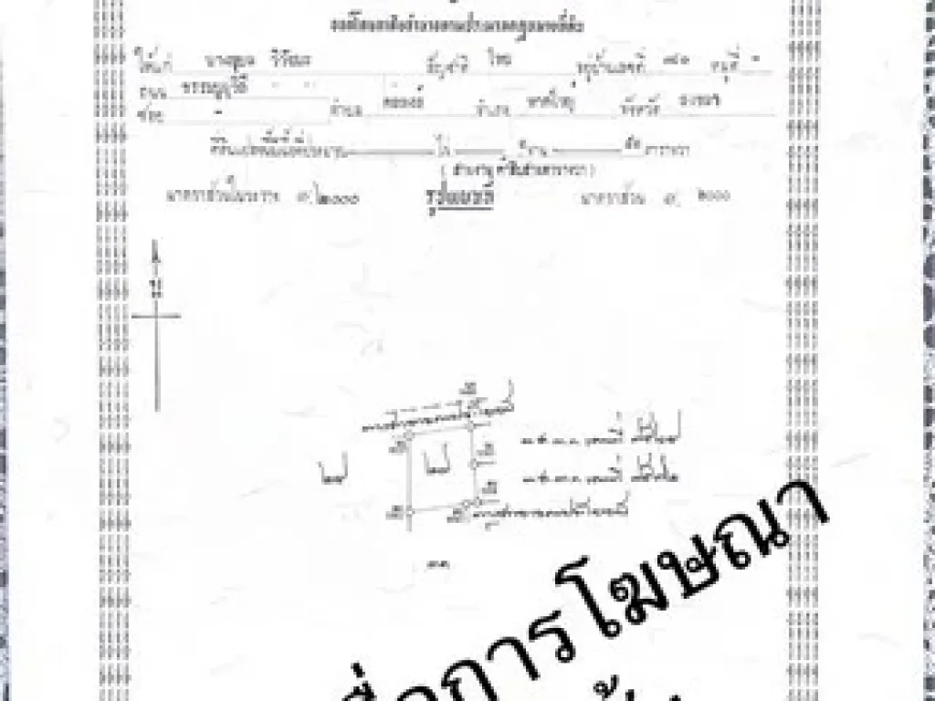 ขายที่ดินเปล่า 3 ไร่ ทำเลดี ถนนทางไปโตนงาช้าง เข้าซอยไปอยู่ซ้ายมือ อำเภอหาดใหญ่ สงขลา