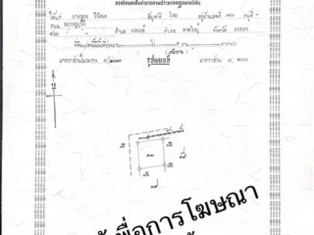 ขายที่ดินเปล่า 3 ไร่ ทำเลดี ถนนทางไปโตนงาช้าง เข้าซอยไปอยู่ซ้ายมือ อำเภอหาดใหญ่ สงขลา