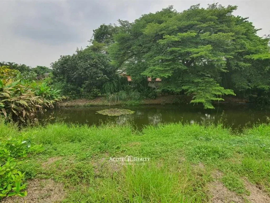 ขายที่ดิน 700 ตรว ใกล้ถนนพระราม 2 เพียง 1 กม เหมาะสำหรับปลูกบ้านหรือประกอบธุรกิจ