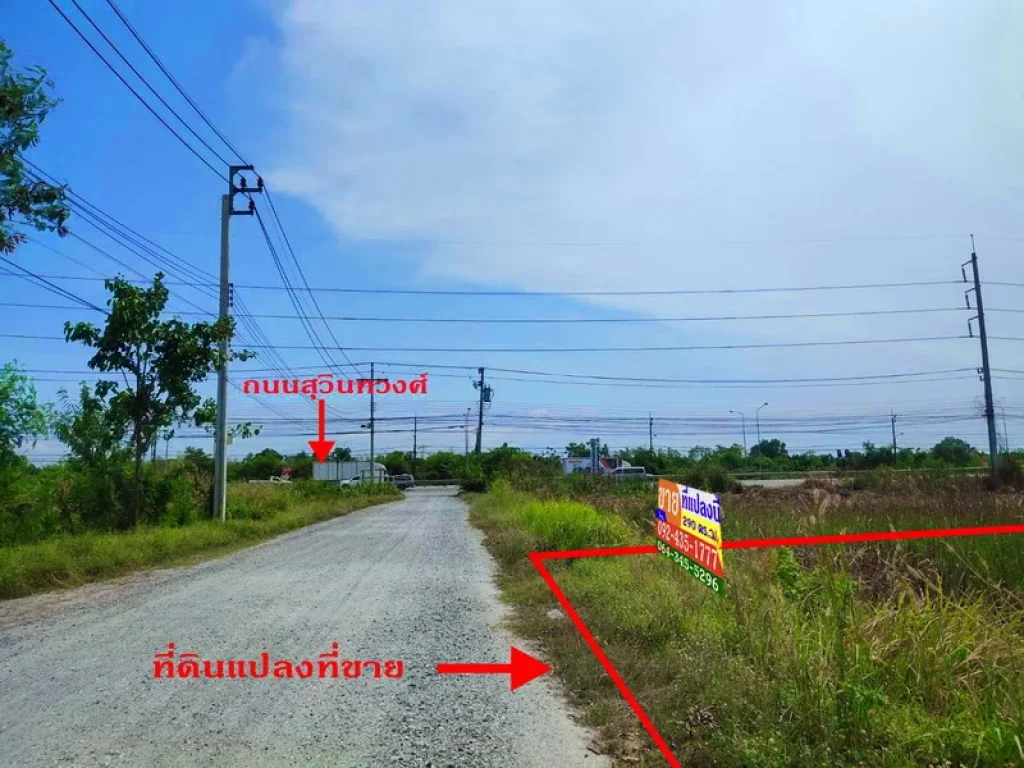 ที่ดิน 290 ตรว ซสุวินทวงศ์ 57 ตรงข้ามฮาราจูกุไทยแลนด์ ห่างถนนสุวินทวงศ์เพียง 50 เมตร