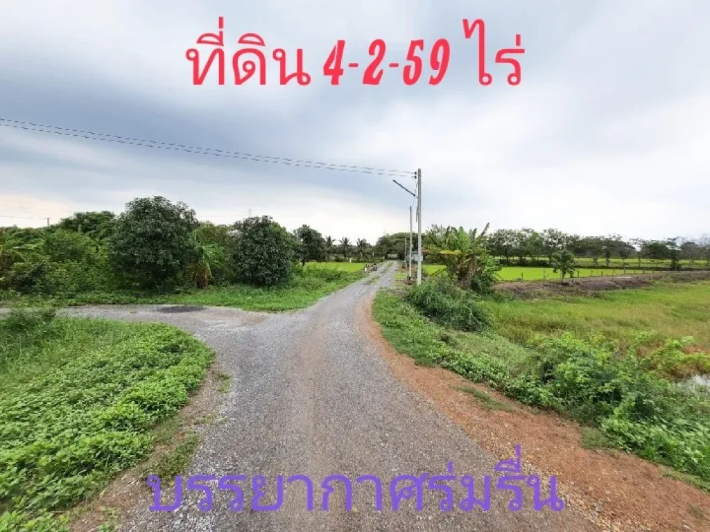 ขายถูกที่ดินบางเลน 4 ไร่ 2 งาน 59 ตารางวา ริมคลองประปามหาสวัสดิ์ amp หลังติดคลองนกกระทุง ตบางภาษี