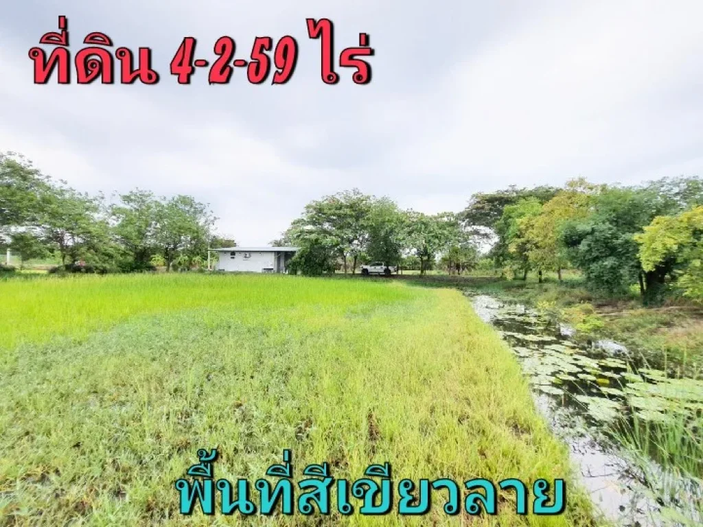 ขายถูกที่ดินบางเลน 4 ไร่ 2 งาน 59 ตารางวา ริมคลองประปามหาสวัสดิ์ amp หลังติดคลองนกกระทุง ตบางภาษี