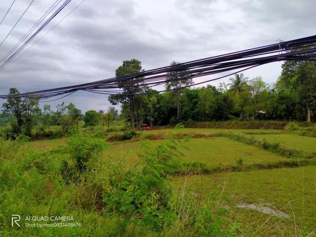 ขายที่ดินแปลงสวยติดถนนชยางกูร ราคาถูก ตคำป่าหลาย อเมืองมุกดาหาร จมุกดาหาร