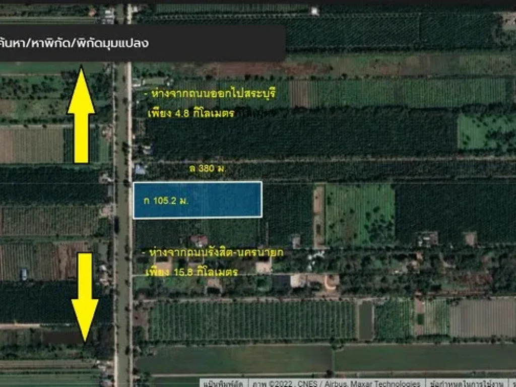 ขายสวนมะพร้าวติดถนนลาดยาง คลอง 9 หนองเสือ 25 ไร่ วิวคลอง มะพร้าวอายุ 3 ปี พร้อมเก็บผลผลิตได้แล้ว