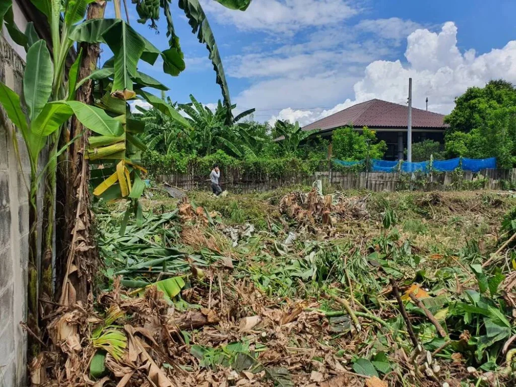 ขายที่ดิน ขนาด 409 ตรว ถนนรัตนาธิเบศร์ ซอย 17 แยก3 ขายใกล้เคียงราคาประเมิน