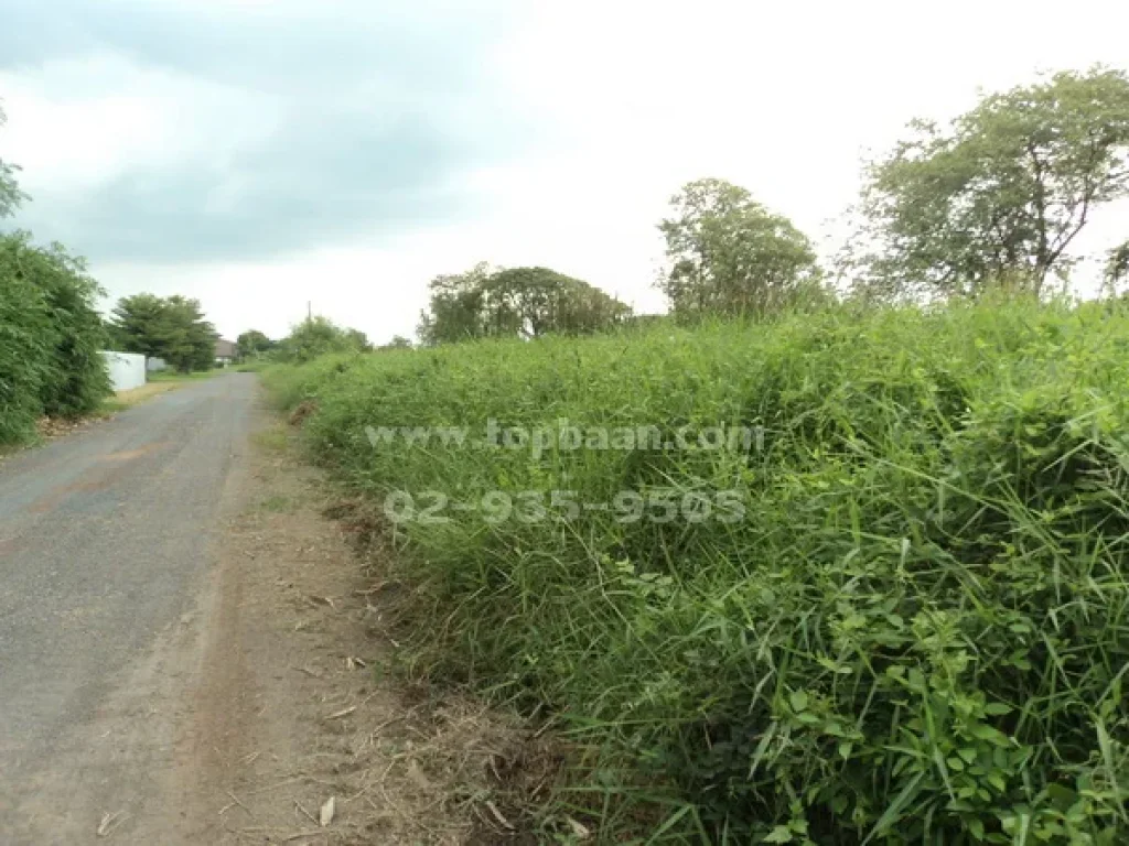 ขายที่ดิน ถนนมิตรไมตรี ซอย 28 บ้านคู้ฝั่งเหนือ เขตหนองจอก กรุงเทพมหานคร