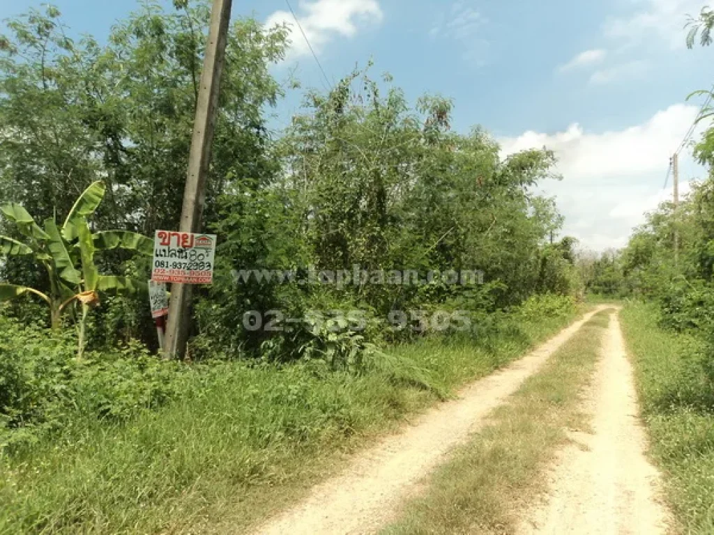 ขายที่ดิน ถนนเลียบคลองซอยที่ 6 ตะวันตก คลองหก ถนนรังสิตนครนายก คลองหลวง ปทุมธานี