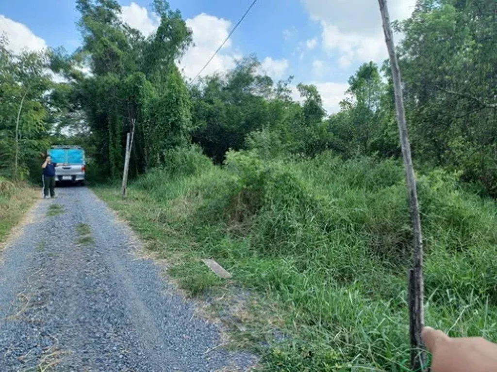 ขายที่ดินเปล่า 100 ตรว ถนนพหลโยธิน87 ตประชาธิปัตย์ อธัญบุรี จปทุมธานี