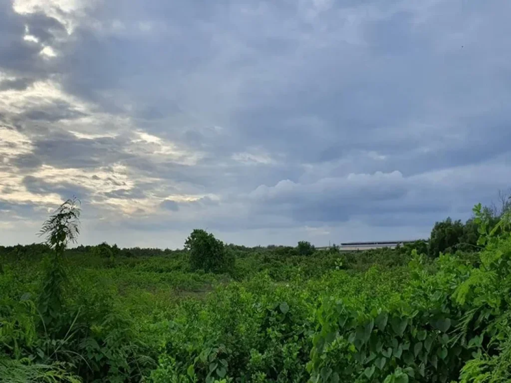 ขายที่ดินติดถนนบางนาตราด-บางปะกงขายที่ดินติดถนนบางปะกง