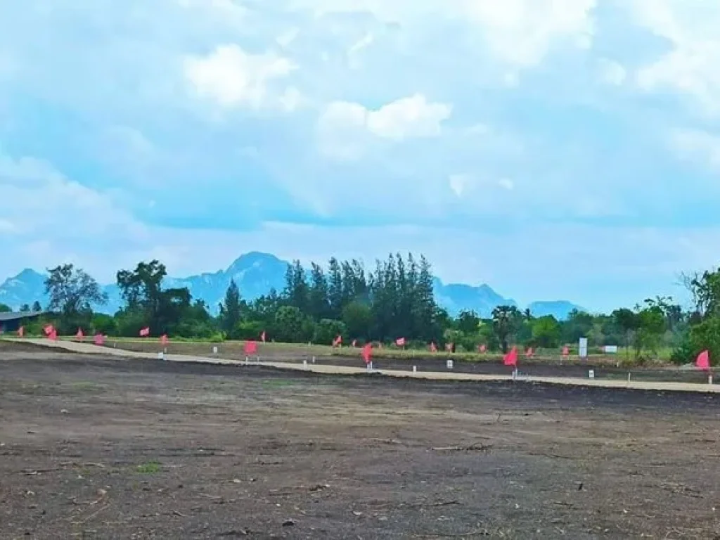 ที่ดินแบ่งขายสระบุรี เริ่ม100 ตรว 199000 บาท ท่ามกลางธรรมชาติ