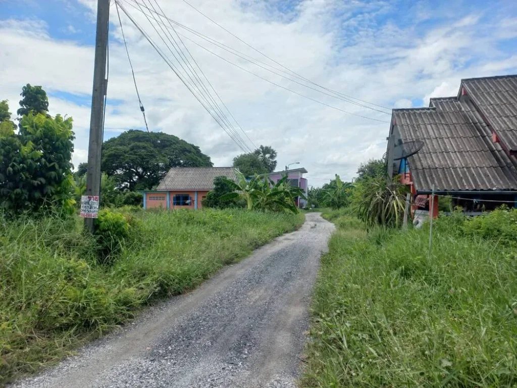 ขาย ที่ดินเปล่า 200 ตรว สุวินทวงศ์ หนองจอก ลำต้อยติ่ง