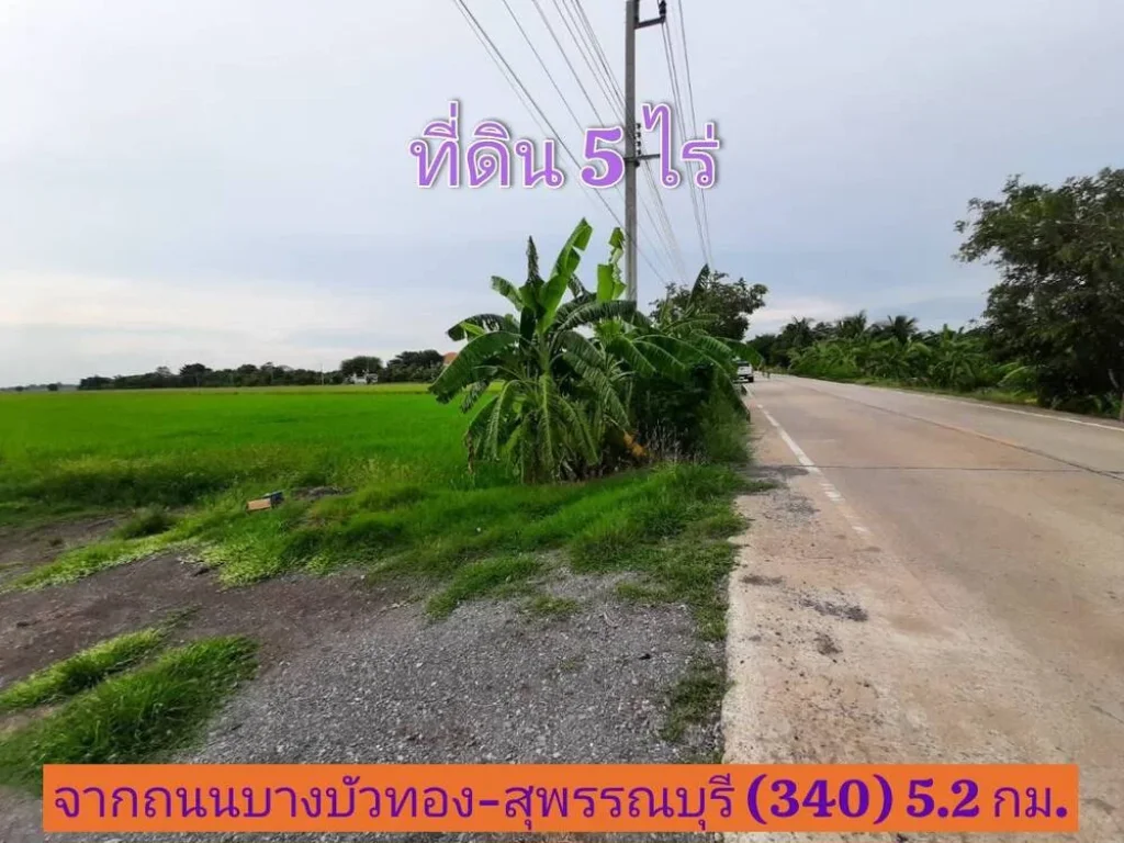 ขายด่วน ที่ดินสีม่วง 5 ไร่ติดถนน นบ3015 ตไทรใหญ่ อไทรน้อย