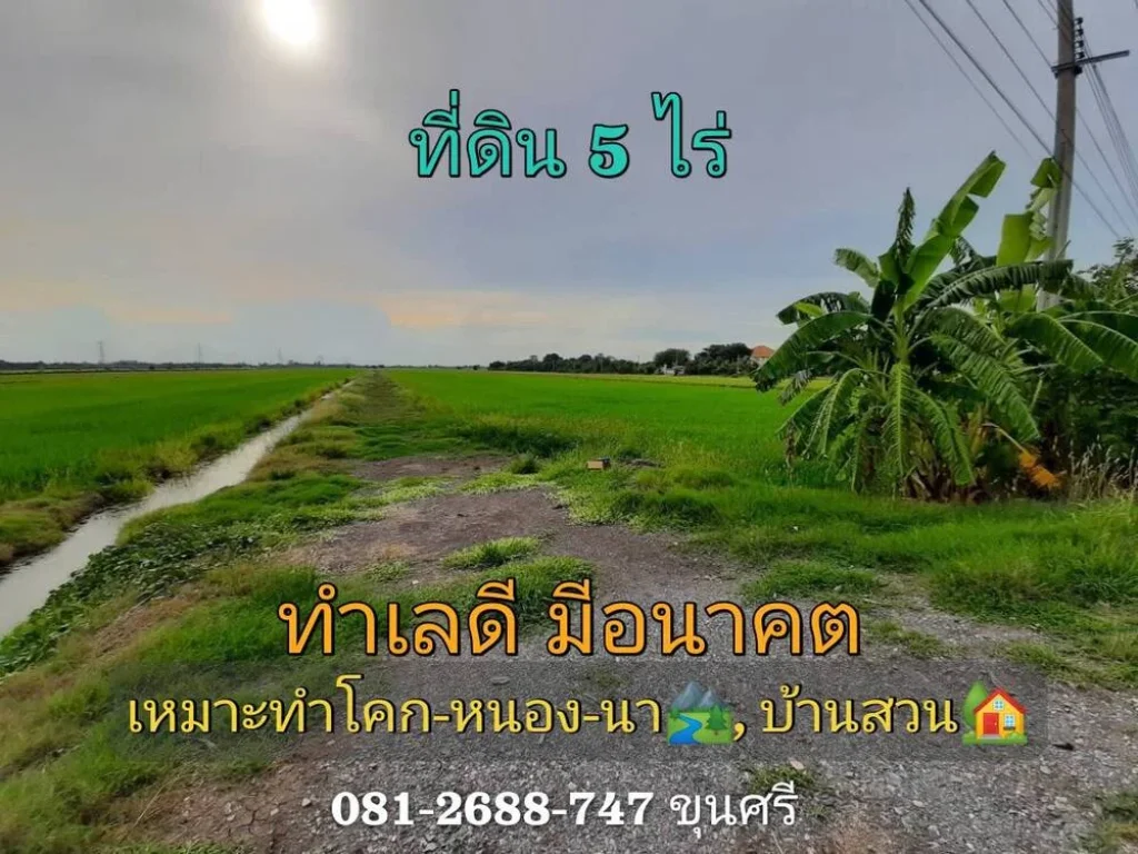 ขายด่วน ที่ดินสีม่วง 5 ไร่ติดถนน นบ3015 ตไทรใหญ่ อไทรน้อย